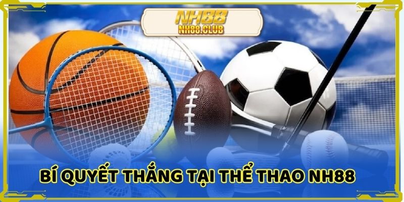 Nghiên cứu thông tin thể thao NH88 để tối ưu kết quả